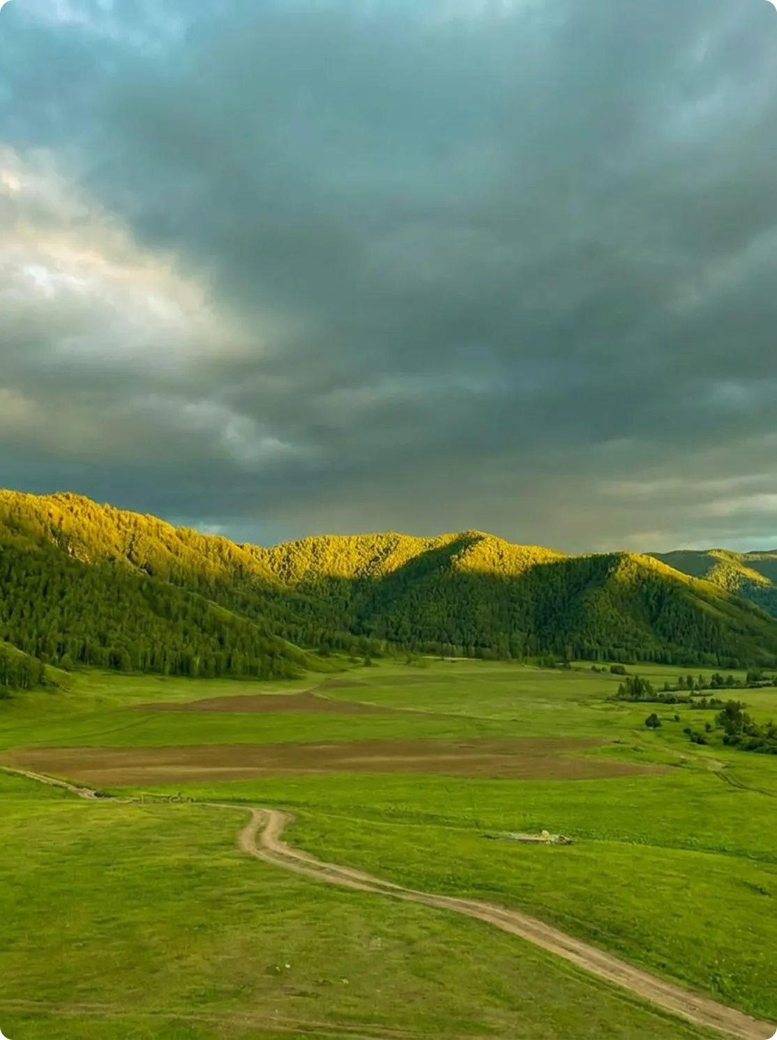 Paysage de vallée verte traversée par un chemin de terre avec des collines boisées sous un ciel nuageux.