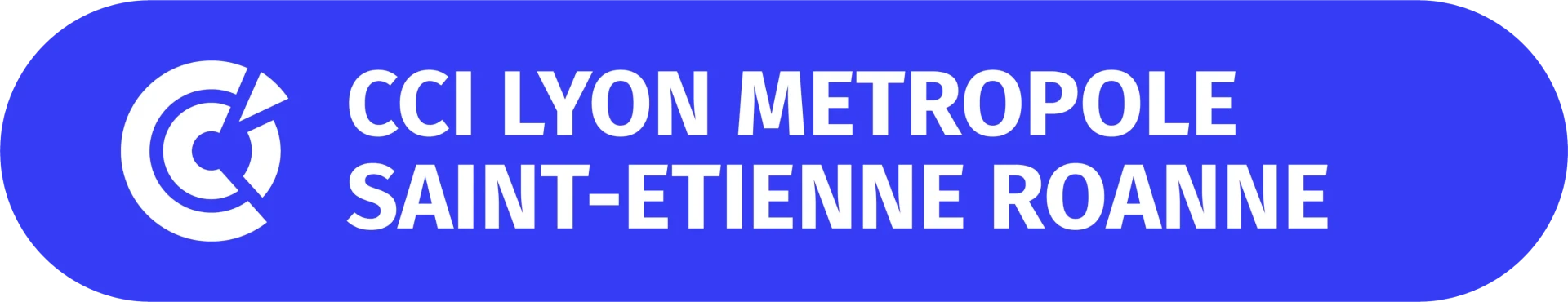 logo cci Lyon Métropole Saint-Etienne Roanne
